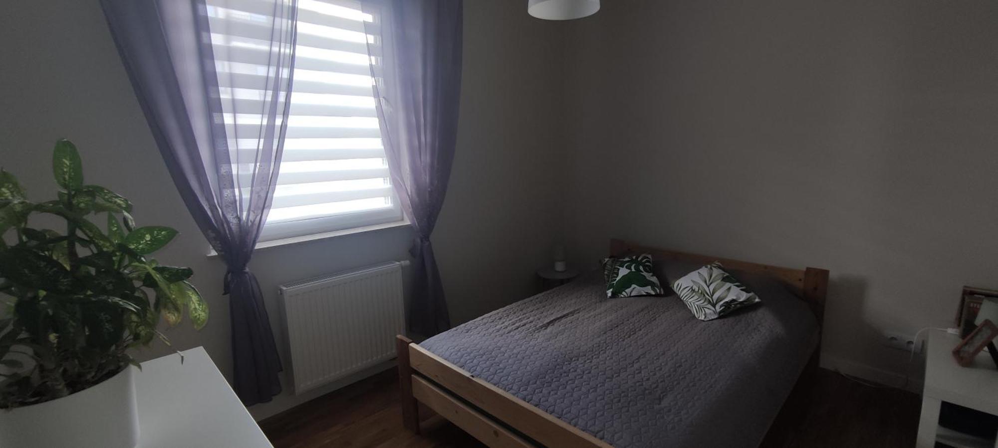 Apartament Zielone Zamienie Exterior foto